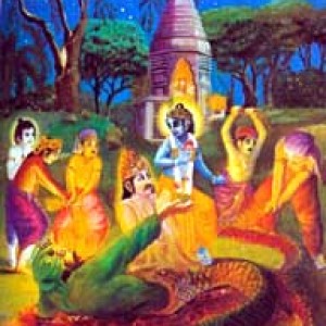 vidyadharan-mukthi